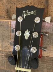 Gibson Hummingbird_4