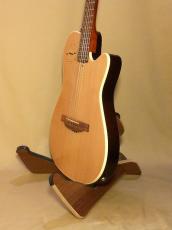 Godin Multiac Nylon Encore_4