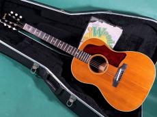 Gibson B-25 NT