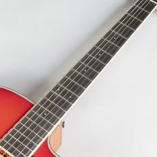 YAMAHA FSX825C AB_6