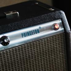 Fender 1979  Princeton_2
