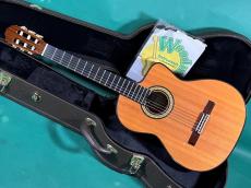 Takamine 300 CUSTOM