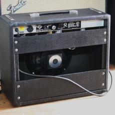 Fender 1979  Princeton_5