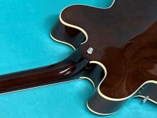 Archtop Tribute AT150DC_9