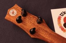 KIWAYA KPT-5JA Limited Edition All Jacaranda (Brazilian Rosewood) Shell Inlay Tenor #5653_6