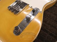 Fender 1975 TELECASTER Blonde / Maple_14