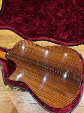Somogyi Ervin SK Cutaway 1999_3