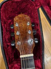 Somogyi Ervin SK Cutaway 1999_4