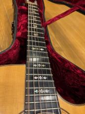 Somogyi Ervin SK Cutaway 1999_5