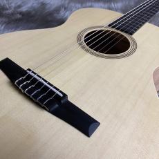 Taylor Limited Academy12e-nylon【現物画像】【最大36回分割無金利 実施中】_3