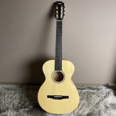 Taylor Limited Academy12e-nylon【現物画像】【最大36回分割無金利 実施中】_4