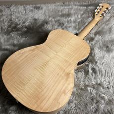 Taylor Limited Academy12e-nylon【現物画像】【最大36回分割無金利 実施中】_6