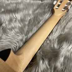 Taylor Limited Academy12e-nylon【現物画像】【最大36回分割無金利 実施中】_11