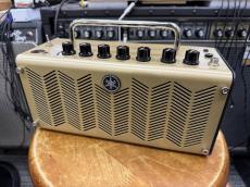 YAMAHA THR5A w/Case