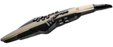 Roland AE-20SC 島村楽器限定モデル ゴールドカラー 32種の追加音源付属_2