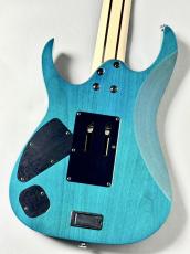 Ibanez 【Spalted Maple Top】【葉月(HAZUKI)Model】HZK1  #F26150417【3.70KG】_4