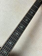 Taylor 【試奏動画あり】Builder's Edition 914ce #1202164077【送料当社負担・最大48回無金利】_4
