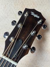 Taylor 【演奏性抜群!!】 14ce #2208265364【送料当社負担・最大48回分割無金利】_5