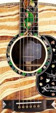 Martin 【世界30本限定】D-300 ハカランダ使用 【ASK価格・生産本数300万本記念モデル】_2