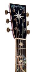 Martin 【世界30本限定】D-300 ハカランダ使用 【ASK価格・生産本数300万本記念モデル】_4
