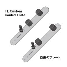 FREEDOM CUSTOM GUITAR RESEARCH TE Custom Control Plate [SP-CP-01]_3