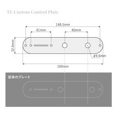 FREEDOM CUSTOM GUITAR RESEARCH TE Custom Control Plate [SP-CP-01]_4