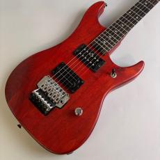 Washburn N2
