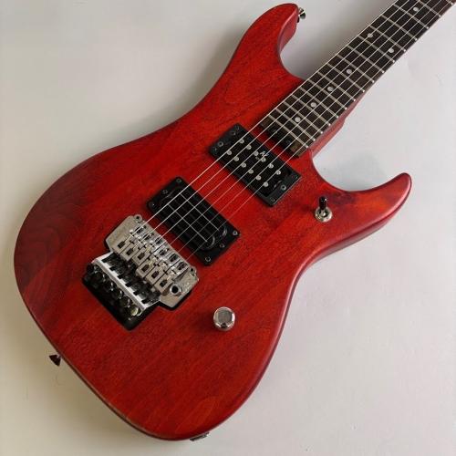 Washburn N2
