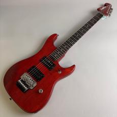 Washburn N2_2