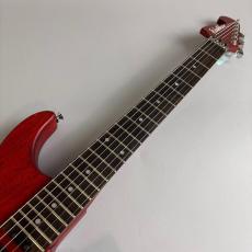Washburn N2_3