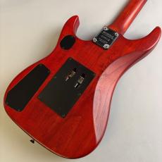Washburn N2_5