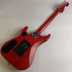 Washburn N2_6