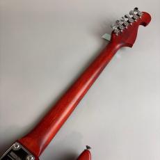 Washburn N2_7