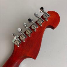Washburn N2_8