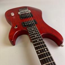 Washburn N2_9
