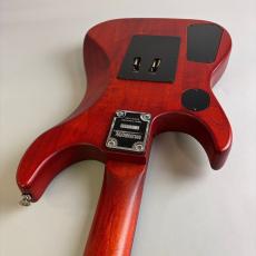 Washburn N2_10
