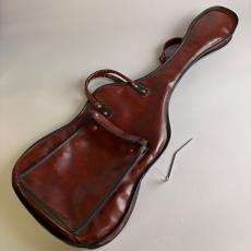 Washburn N2_11