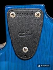 G&L S-500 USA MOD_3