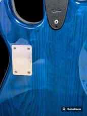 G&L S-500 USA MOD_4