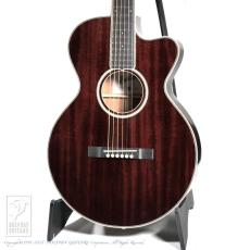 Switch SL-2 Bee