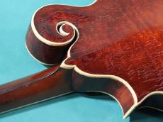 Gibson F-4_9