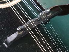 Gibson F-4_10