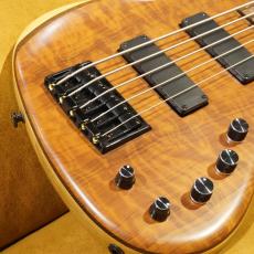 FREEDOM CUSTOM GUITAR RESEARCH Dulake Flat 5st_2