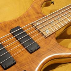 FREEDOM CUSTOM GUITAR RESEARCH Dulake Flat 5st_3