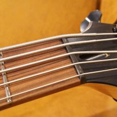 FREEDOM CUSTOM GUITAR RESEARCH Dulake Flat 5st_5