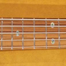 FREEDOM CUSTOM GUITAR RESEARCH Dulake Flat 5st_8