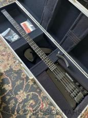 Steinberger L-2 1983