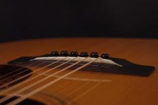 Nashville Guitar Co D Style Rosewood_6