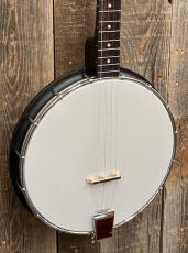 GOLD TONE AC-4P Acoustic Composite Plectrum Banjo