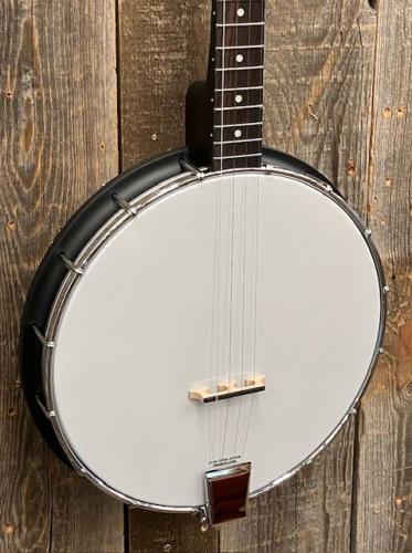 GOLD TONE AC-4P Acoustic Composite Plectrum Banjo